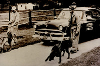 K9 Bloodhound Old Photo vs New Photo
